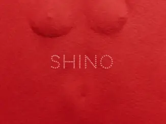 Skiibii  SHINO ft. Oxlade Mp3 Download