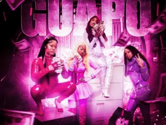 Trim  GUAPO Ft. Bankroll Ni, Bri3 & Thickney Mp3 Download