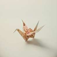kesha - ORIGAMI!